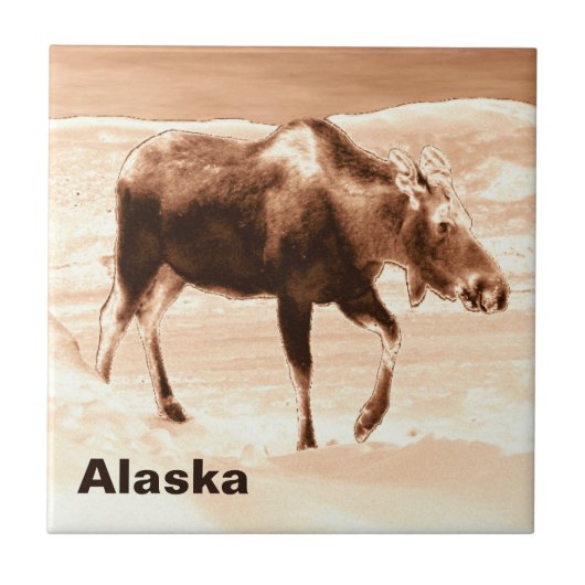 Moose Tegeltje (Voorkant)