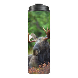 Moose Thermosbeker