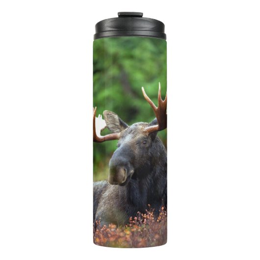 Moose Thermosbeker (Voorkant)