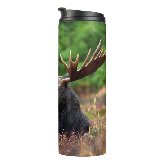 Moose Thermosbeker (Geroteerd rechts)