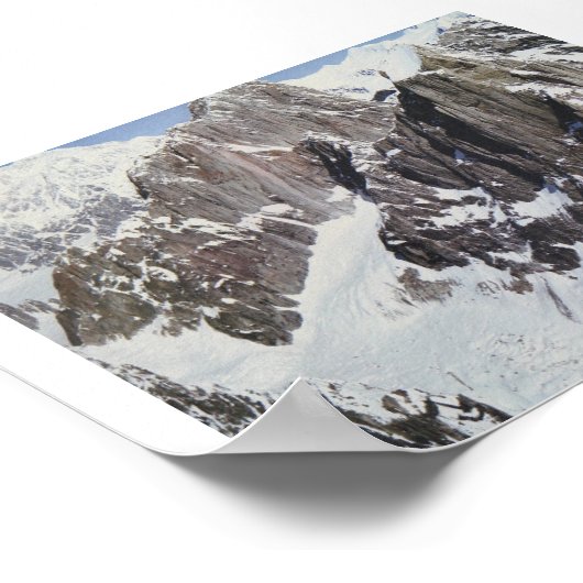 Moose Tooth - door Logan Guinn Poster (Hoek)