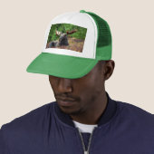 Moose Trucker Pet (In situ)
