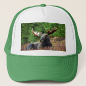 Moose Trucker Pet (Voorkant)