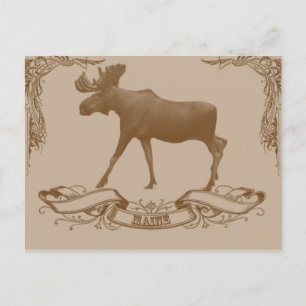 moose van de maligne briefkaart