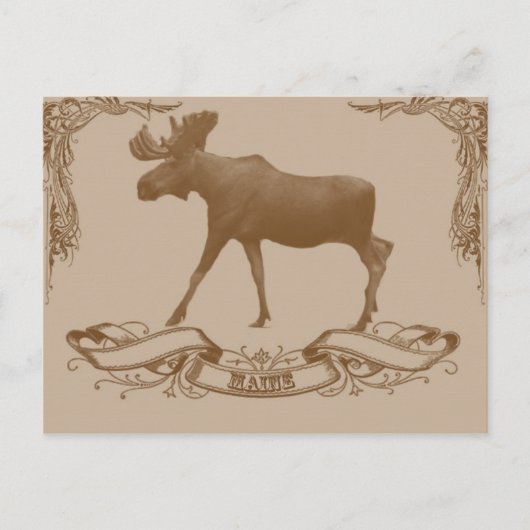 moose van de maligne briefkaart (Voorkant)