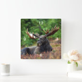 Moose Vierkante Klok (Huis)