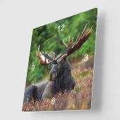 Moose Vierkante Klok (Hoek)