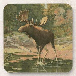 Moose Walting in Water Bier Onderzetter