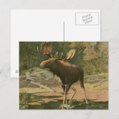 Moose Walting in Water Briefkaart (Voorkant / Achterkant)