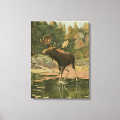 Moose Walting in Water Canvas Afdruk (Voorkant)