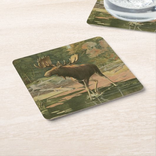 Moose Walting in Water Kartonnen Onderzetters (Schuin)