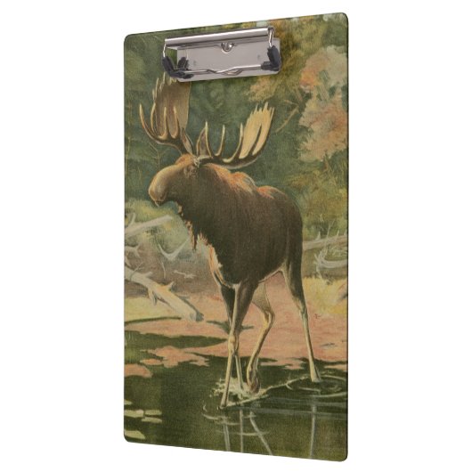 Moose Walting in Water Klembord (Links)