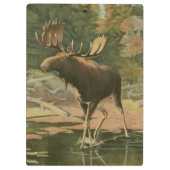 Moose Walting in Water Klembord (Achterkant)