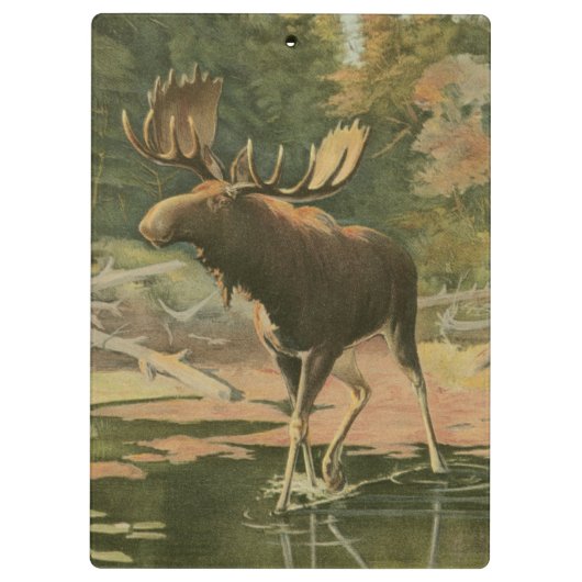 Moose Walting in Water Klembord (Achterkant)