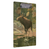 Moose Walting in Water Klembord (Rechts)