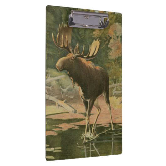 Moose Walting in Water Klembord (Rechts)