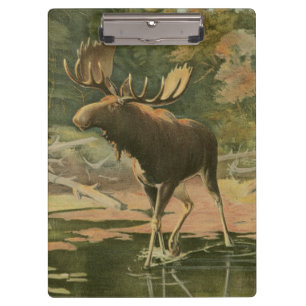 Moose Walting in Water Klembord