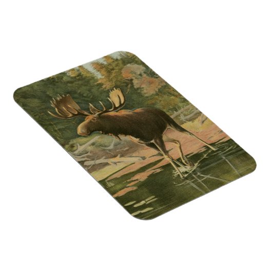 Moose Walting in Water Magneet (Rechterzijde)