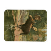 Moose Walting in Water Magneet (Horizontaal)