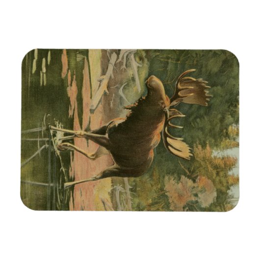 Moose Walting in Water Magneet (Horizontaal)