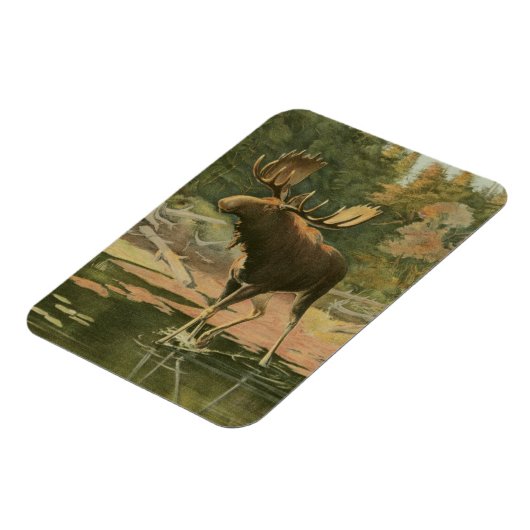 Moose Walting in Water Magneet (Linkerzijde)