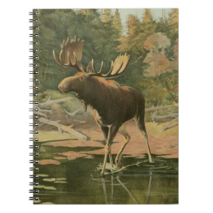 Moose Walting in Water Notitieboek