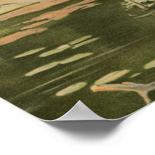 Moose Walting in Water Poster (Hoek)