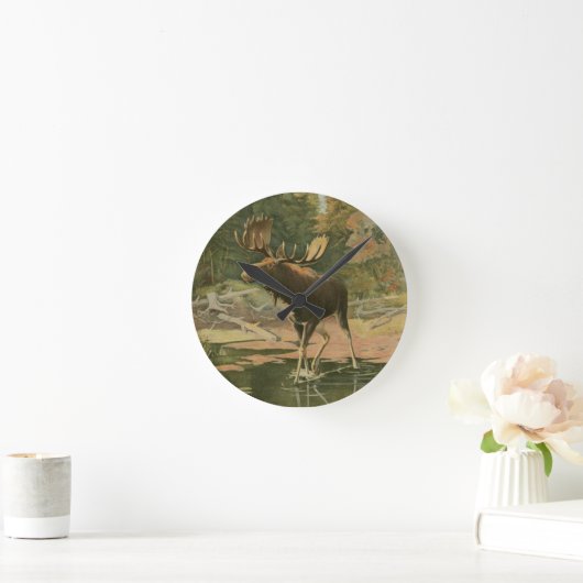 Moose Walting in Water Ronde Klok (Huis)