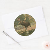 Moose Walting in Water Ronde Sticker (Envelop)