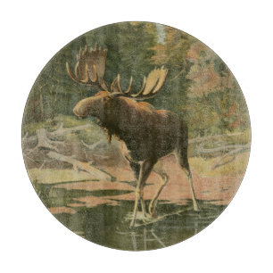 Moose Walting in Water Snijplank