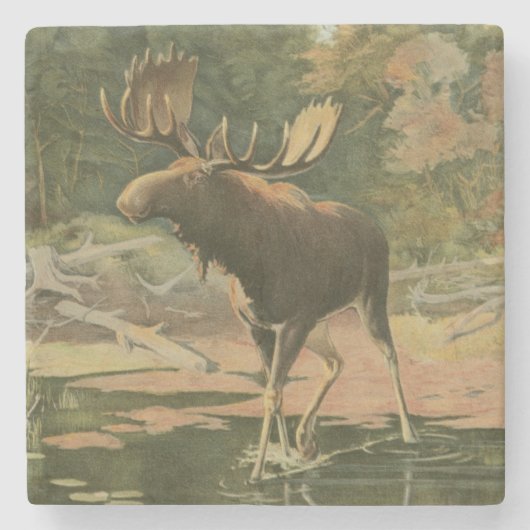 Moose Walting in Water Stenen Onderzetter (Voorkant)