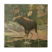 Moose Walting in Water Tegeltje (Voorkant)