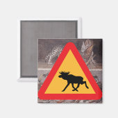 Moose Warning Crossing Sign Whittier Alaska Magneet (Voorkant / Achterkant)
