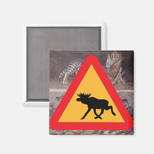 Moose Warning Crossing Sign Whittier Alaska Magneet (Voorkant / Achterkant)