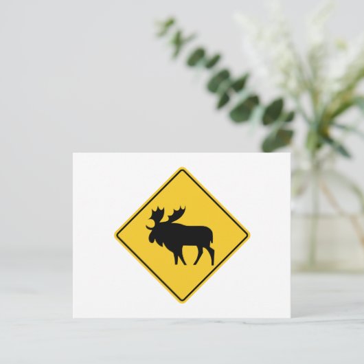 Moose Warning, Road Sign, Canada Briefkaart (Staand voorkant)