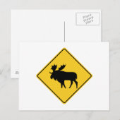 Moose Warning, Road Sign, Canada Briefkaart (Voorkant / Achterkant)