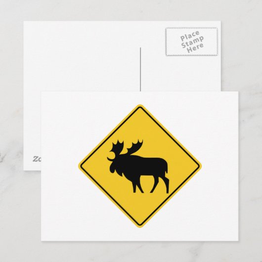 Moose Warning, Road Sign, Canada Briefkaart (Voorkant / Achterkant)