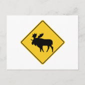 Moose Warning, Road Sign, Canada Briefkaart (Voorkant)