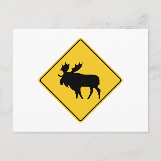 Moose Warning, Road Sign, Canada Briefkaart (Voorkant)
