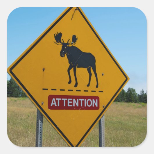 Moose Warning Sign Vierkante Sticker (Voorkant)