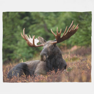 Moose, Wild Animal, Foto, Aangepast Fleece Deken