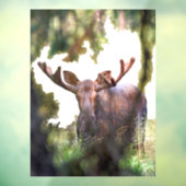 Moose Window Cling Raamsticker (Vel 3)