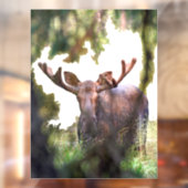 Moose Window Cling Raamsticker (Vel 2)