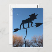 Moose WOthervane Briefkaart (Voorkant / Achterkant)