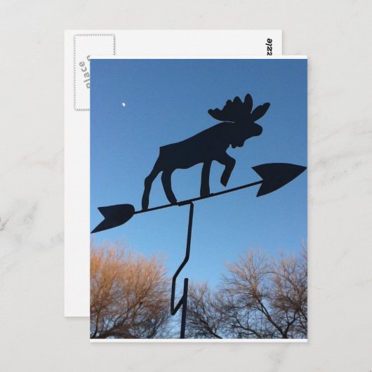 Moose WOthervane Briefkaart (Voorkant / Achterkant)