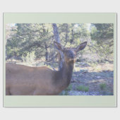 Moose Wrapping Paper Cadeaupapier (Vlak)