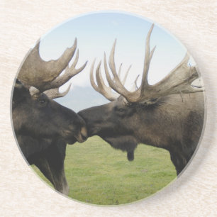 Moose Zandsteen Onderzetter