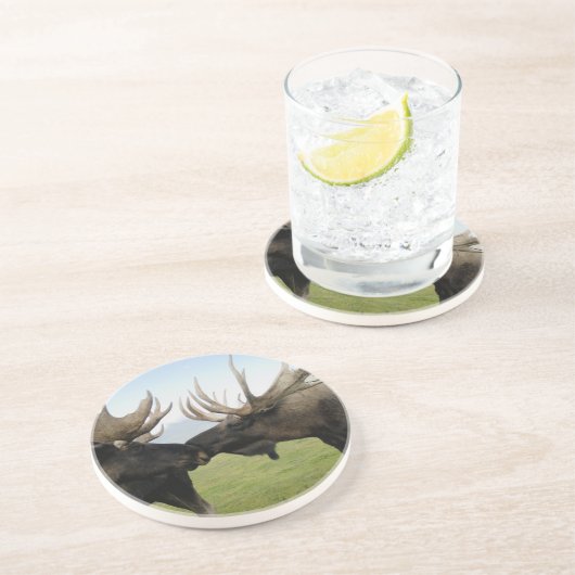 Moose Zandsteen Onderzetter (Zijkant)