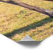 Moose zegt "Cheese" Poster (Hoek)