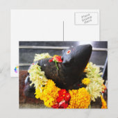 Mooshika, het muisstandbeeld briefkaart (Voorkant / Achterkant)